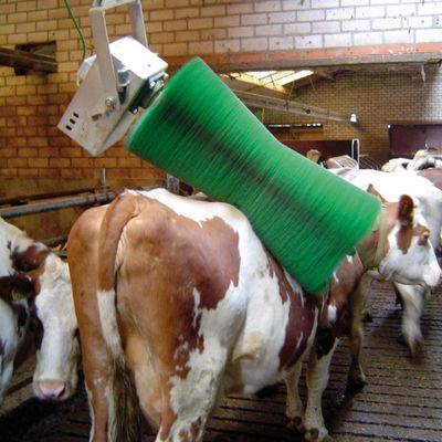 Dairy Farm Equipments Automatic Cow Body Brush For Cow Massage With The Motor