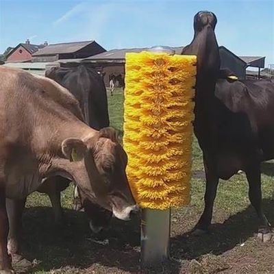 Animal Body Cleaning Machine Cow Body Brush
