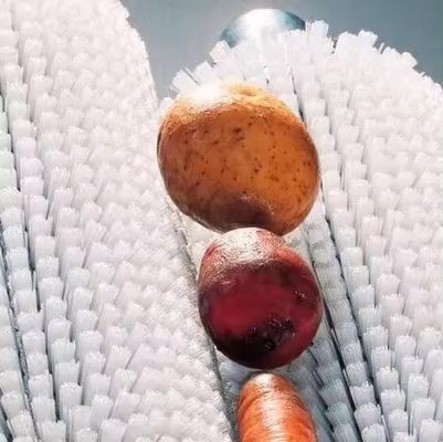 Nylon Roller Brush For Fruit And Vegetable Cleaning Roller Brush