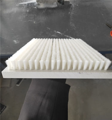 Tufted Scrub Flat Lath Brush And Plate Brushes